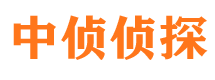 龙泉找人公司